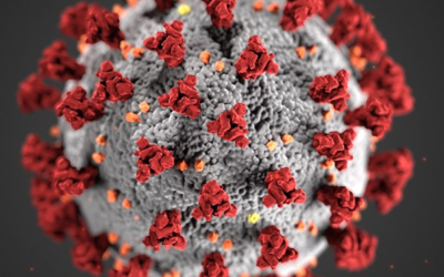 Coronavirus: Big Ideas To Carry Over to Intraoperative Neuromonitoring…